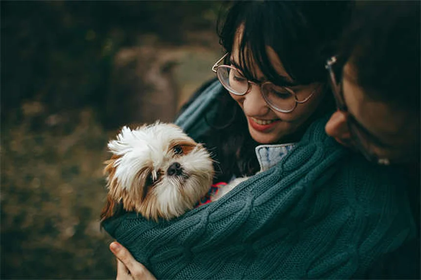 犬の抜け毛対策｜正常な量から異常な抜け毛の見分け方